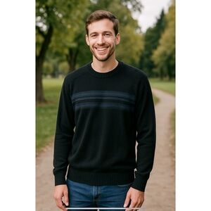 SMARTWOOL SPARWOOD STRIPE WOOL SWEATER MEN L PREPPY OUTDOORS ATHLETIC GORPCORE